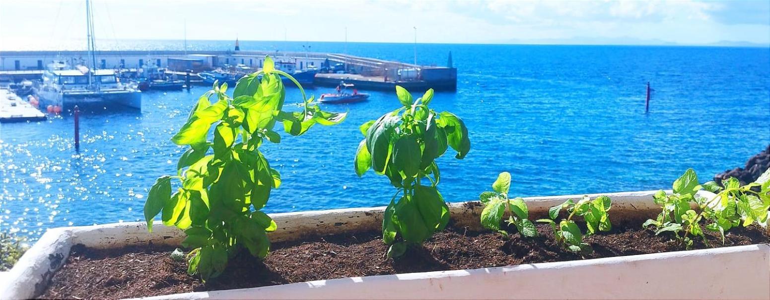 Apartament Buena Pesca 7 Puerto del Carmen  Zewnętrze zdjęcie
